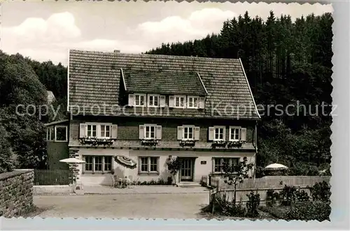 AK / Ansichtskarte Liesen Privatpension Haus Anneliese Luftkurort Kat. Hallenberg