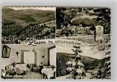 AK / Ansichtskarte Liesen Landschaftspanorama Gedenkstein Pension Haus Liesenfeld Kat. Hallenberg