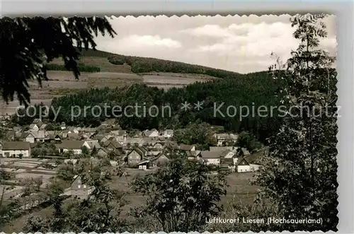 AK / Ansichtskarte Liesen Panorama Luftkurort Kat. Hallenberg