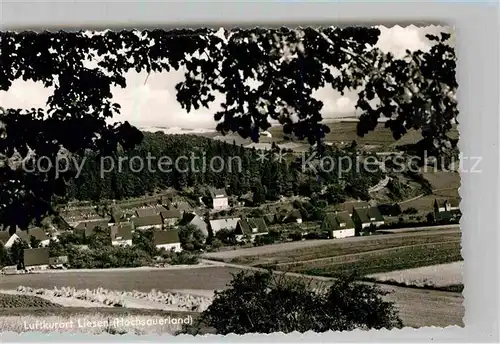 AK / Ansichtskarte Liesen Panorama Luftkurort Kat. Hallenberg