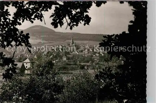 AK / Ansichtskarte Hallenberg Panorama Ansicht vom Waldrand aus Kat. Hallenberg