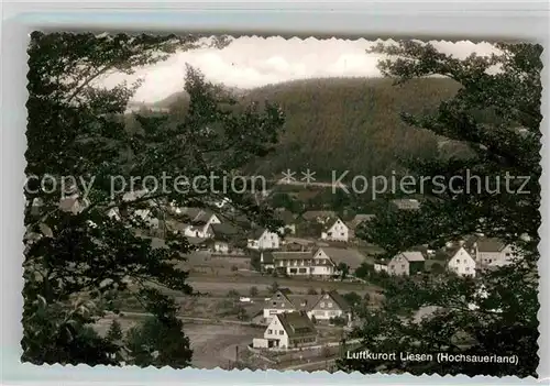 AK / Ansichtskarte Liesen Teilansicht Luftkurort Ansicht vom Waldrand aus Kat. Hallenberg