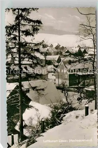 AK / Ansichtskarte Liesen Luftkurort im Winter Kat. Hallenberg