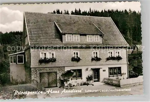 AK / Ansichtskarte Liesen Pension Haus Anneliese Luftkurort Kat. Hallenberg