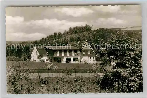 AK / Ansichtskarte Liesen Pension Haus zur schoenen Aussicht Luftkurort Kat. Hallenberg