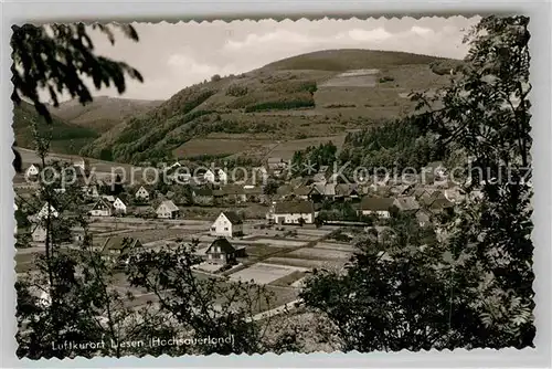 AK / Ansichtskarte Liesen Panorama Luftkurort Kat. Hallenberg