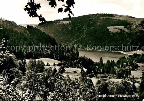 AK / Ansichtskarte Haeusern Schwarzwald Albsee Kat. Haeusern