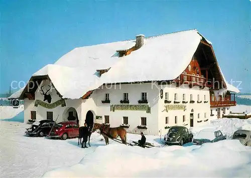 AK / Ansichtskarte Hof Salzburg Jagdschloss Fuschl Pferdeschlitten Kat. Hof bei Salzburg