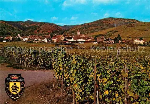 AK / Ansichtskarte Riquewihr Haut Rhin Panorama Weinreben Kat. Riquewihr