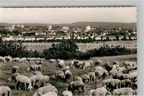 AK / Ansichtskarte Giessen Lahn Schafherde Blick zur Stadt Kat. Giessen