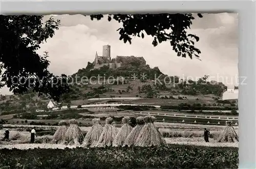 AK / Ansichtskarte Gleiberg Blick ueber die Felder zur Burg