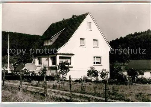 AK / Ansichtskarte Liesen Pension Luftkurort Kat. Hallenberg