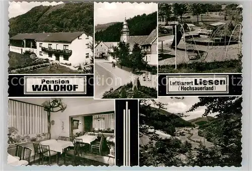 AK / Ansichtskarte Liesen Pension Waldhof Luftkurort Kinderspielplatz Landschaftspanorama Kat. Hallenberg