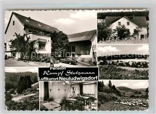 AK / Ansichtskarte Neuludwigsdorf Pension Rumpf Stutzmann Luftkurort Landschaftspanorama Schafherde Kat. Bromskirchen