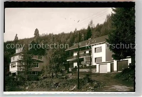 AK / Ansichtskarte Liesen Pension Haus Steinschab Luftkurort Kat. Hallenberg