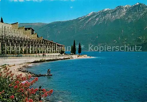 AK / Ansichtskarte Lago di Garda Zitronengaerten Limone Kat. Italien