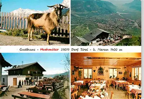 AK / Ansichtskarte Dorf Tirol Gasthaus Hochmuter Terrasse Gastraum Panorama Bergschaf Kat. Tirolo