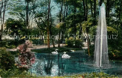 AK / Ansichtskarte Bad Nauheim Kleiner Teich Fontaene Schwaene Kat. Bad Nauheim