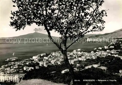 AK / Ansichtskarte Sorrento Campania Vesuvio Kat. Sorrento