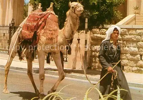 AK / Ansichtskarte Jerusalem Yerushalayim Altstadt Kamel Kat. Israel