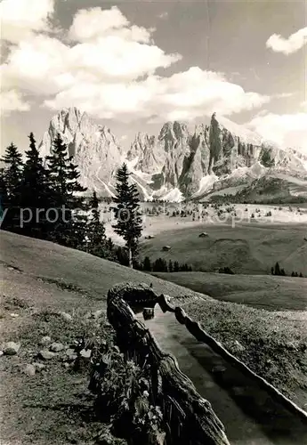 AK / Ansichtskarte Langkofel Sassolungo Panorama Kat. Dolomiten