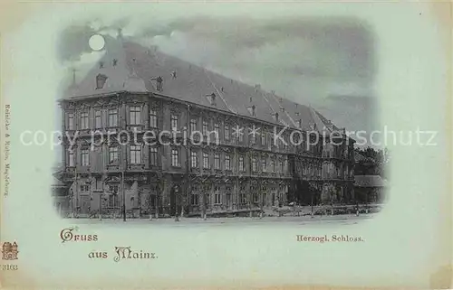 AK / Ansichtskarte Mainz Rhein Herzogliches Schloss im Mondschein Reichspost