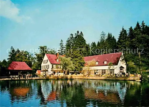 AK / Ansichtskarte Leopoldstal Lippe Waldhotel Silbermuehle Kat. Horn Bad Meinberg