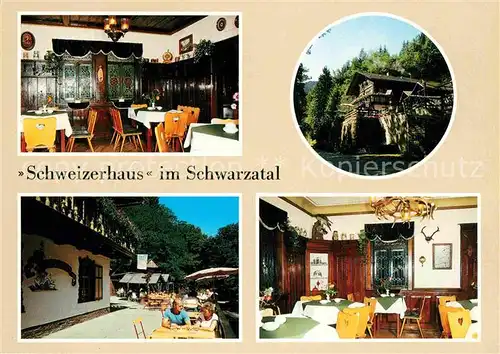 AK / Ansichtskarte Schwarzburg Thueringer Wald HOG Schweizerhaus Gastraeume Terrasse Kat. Schwarzburg