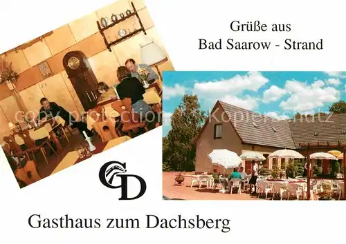 AK / Ansichtskarte Bad Saarow Gasthaus zum Dachsberg Terrasse Kat. Bad Saarow