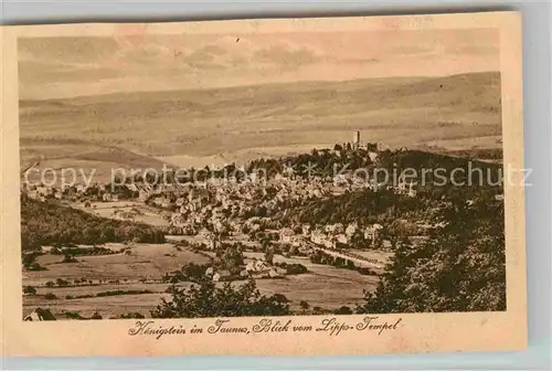 AK / Ansichtskarte Koenigstein Taunus Panorama Blick vom Lipps Tempel Serie 919 No 14 Kat. Koenigstein im Taunus