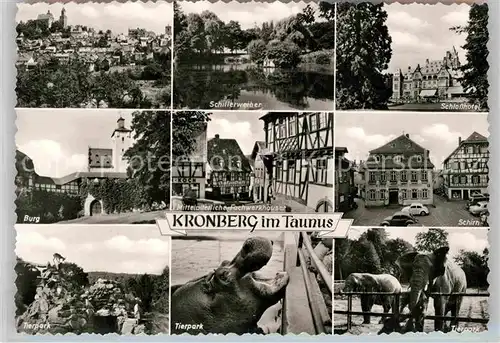 AK / Ansichtskarte Kronberg Taunus Gesamtansicht mit Katharinenkirche Schillerweiher Schlosshotel Schirn Fachwerkhaeuser Burg Tierpark Kat. Kronberg im Taunus