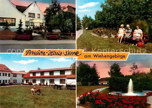 AK / Ansichtskarte Bad Holzhausen Luebbecke Pension Haus Stork Park Brunnen Ponys Kat. Preussisch Oldendorf