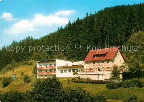 AK / Ansichtskarte Warmensteinach Waldcafe und Pension Pfeiferhaus Kat. Warmensteinach Fichtelgebirge