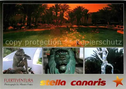 AK / Ansichtskarte Fuerteventura Kanarische Inseln Stella Canaris Kat. 