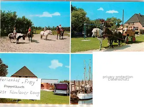 AK / Ansichtskarte Tuemlauer Koog Ferienhof Frey Spielplatz Ponyreiten Pferdewagen Segelboote Kat. Tuemlauer Koog