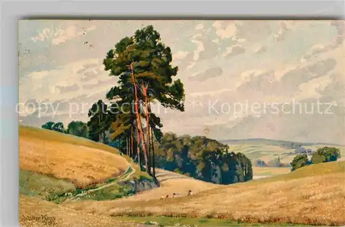 AK / Ansichtskarte Kuenstlerkarte Walter Kopp Landschaft  Kat. Kuenstlerkarte