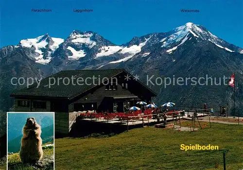 AK / Ansichtskarte Saas Fee Bergrestaurant Spielboden Murmeltier Alpenpanorama Walliser Alpen Kat. Saas Fee