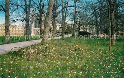 AK / Ansichtskarte Cambridge Cambridgeshire Springtime on the Backs