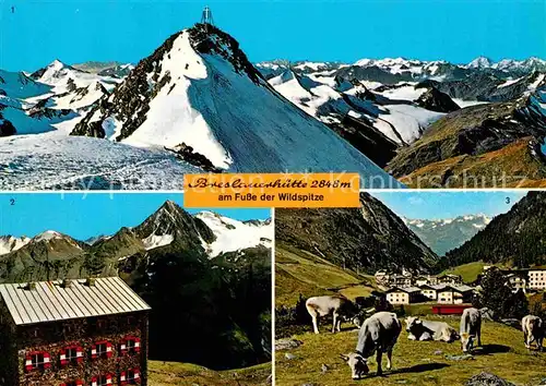 AK / Ansichtskarte Breslauerhuette Wildspitze Vent Almvieh Kuehe Alpenpanorama Kat. Soelden