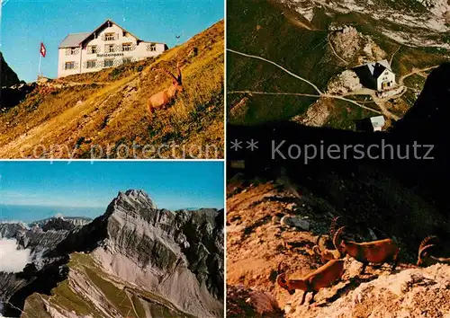 AK / Ansichtskarte Weissbad Berggasthaus Rotsteinpass Steinwild am Altmann Gebirgspanorama Appenzeller Alpen Kat. Weissbad