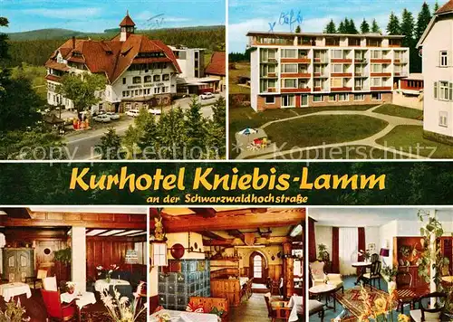 AK / Ansichtskarte Kniebis Freudenstadt Kurhotel Kniebis Lamm Gastraeume Kaminzimmer Kat. Freudenstadt