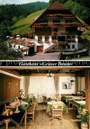 AK / Ansichtskarte Schapbach Gasthaus Gruener Baum Gaststube Kat. Bad Rippoldsau Schapbach