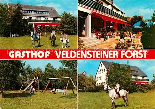 AK / Ansichtskarte Bernheck Gasthof Veldensteiner Forst Ponys Spielplatz Terrasse Kat. Plech