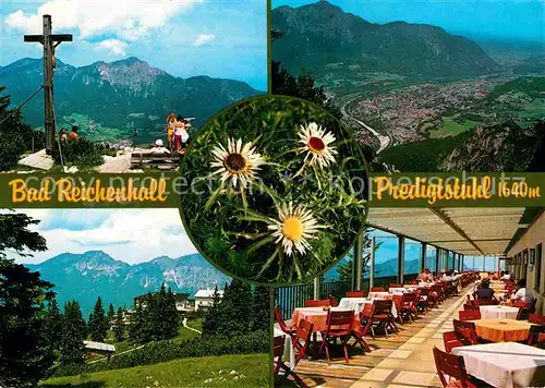 AK / Ansichtskarte Bad Reichenhall Panorama Predigtstuhl Kreuz Berggaststaette Disteln Kat. Bad Reichenhall