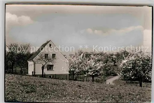 AK / Ansichtskarte Witzhelden Kundenweg Baumbluete Kat. Leichlingen (Rheinland)