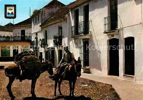 AK / Ansichtskarte Estepona Mann mit 2 Eseln Calle de Malaga Kat. Costa del Sol Malaga