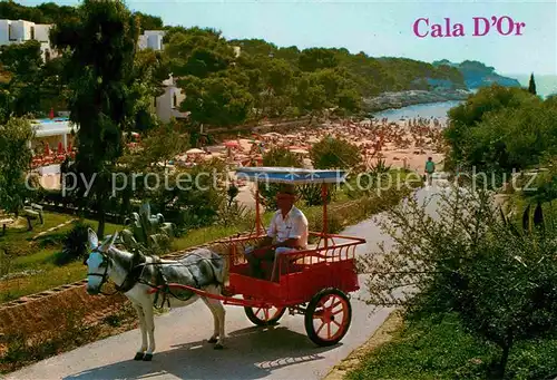 AK / Ansichtskarte Cala d Or Eselkutsche Kat. Mallorca