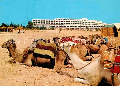 AK / Ansichtskarte Hammamet Hotel Phenicia Kamele Kat. Tunesien