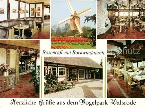 AK / Ansichtskarte Walsrode Lueneburger Heide Rosencafe mit Bockwindmuehle im Vogelpark Kat. Walsrode