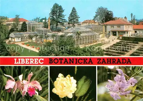 AK / Ansichtskarte Liberec Botanicka Zahrada Cattleya hybr Victoria Regia Vanda Coerulea Kat. Liberec